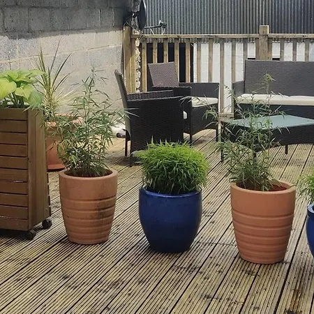 Kingsford Renovated Old * Wexford